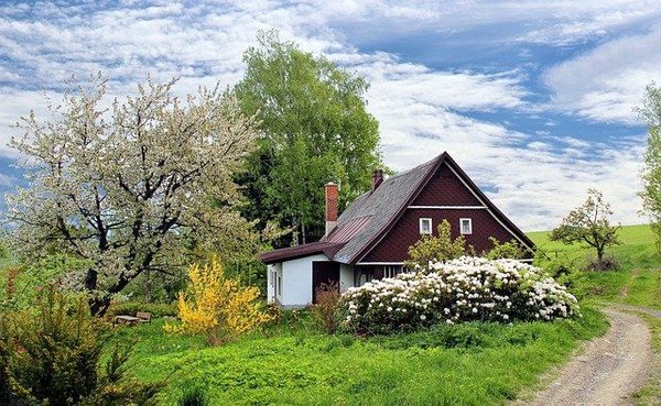 Quel diplôme pour être conseiller immobilier ?